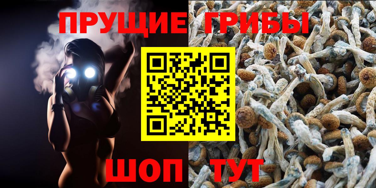 Галлюциногенные грибы Psilocybine cubensis Гулькевичи